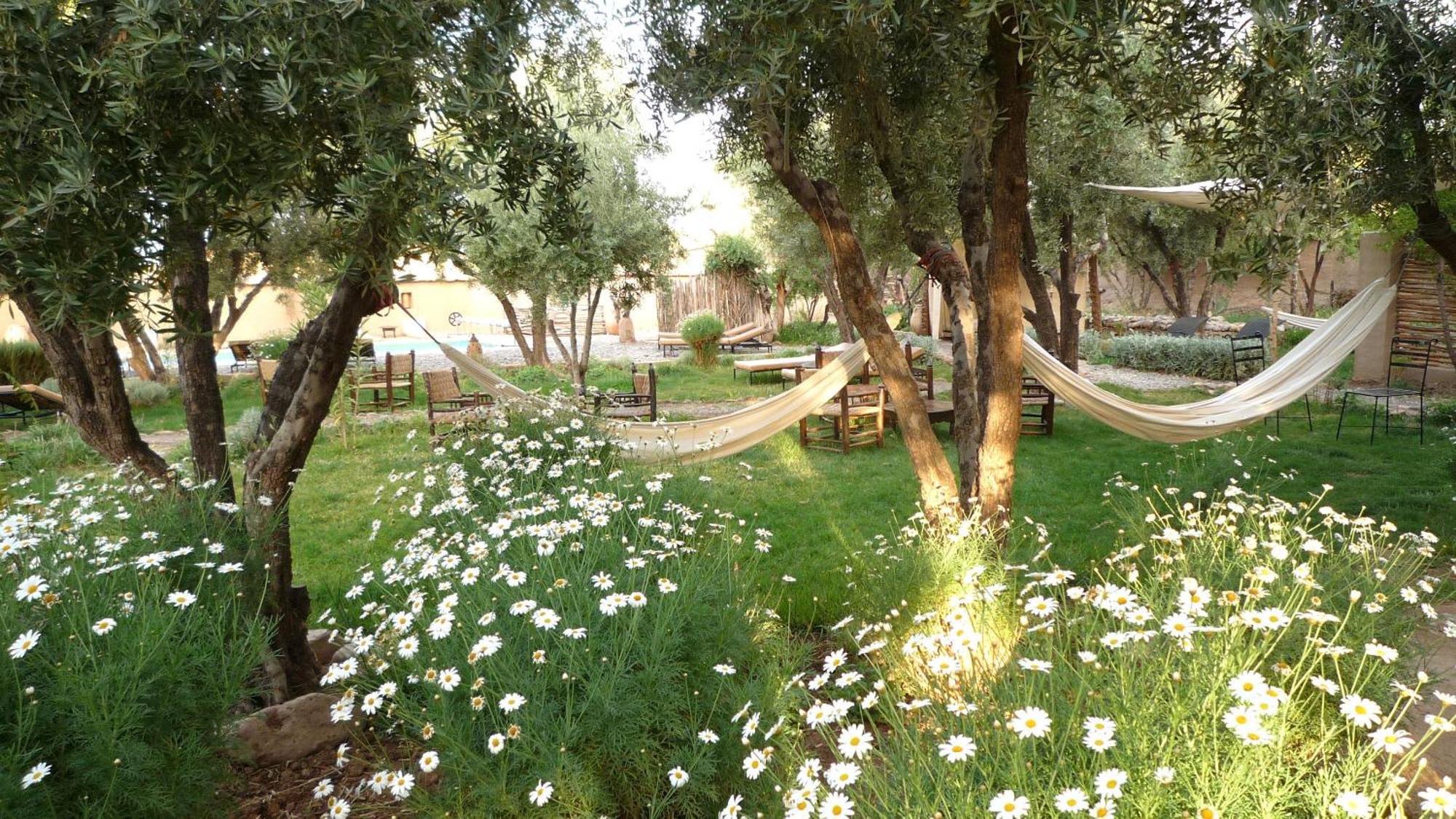 Les Jardins De Skoura Bed and Breakfast Exterior foto